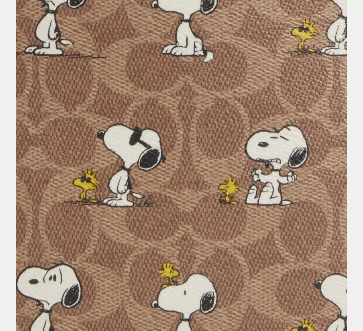 Peanuts Sullivan Crossbody Bag in Signature Canvas with Snoopy Print