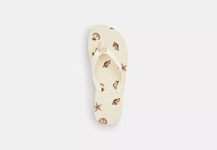Zayn Flip Flop With Shell Print