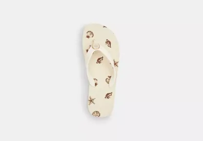Zayn Flip Flop With Shell Print