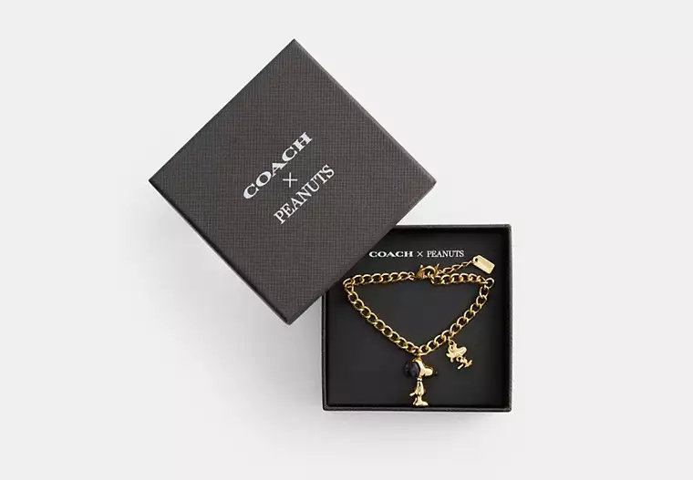 Coach X Peanuts Snoopy And Woodstock Charm Bracelet