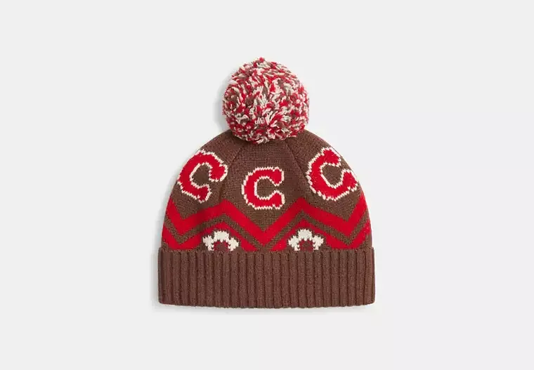 Fair Isle Print Knit Beanie