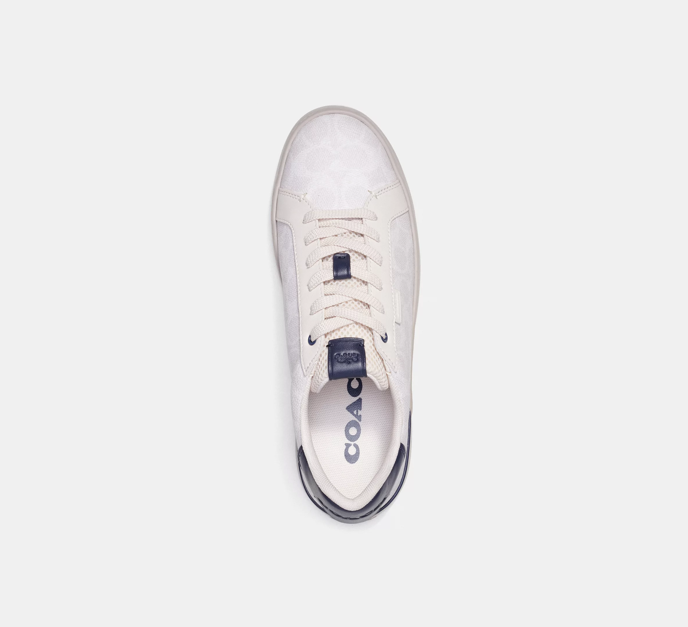 Lowline Low Top Sneaker In Signature Canvas