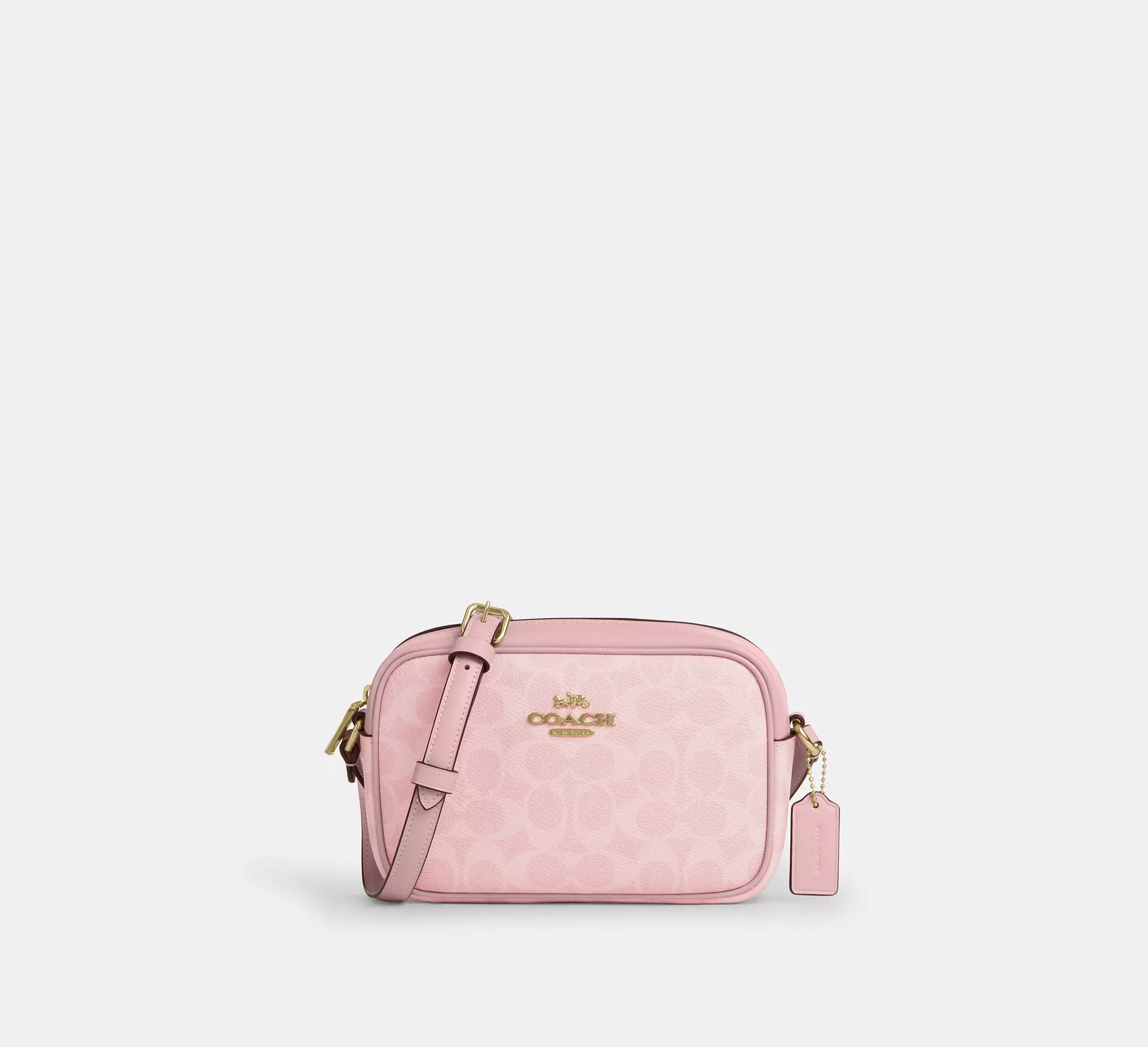 Mini Camera Bag In Signature Canvas