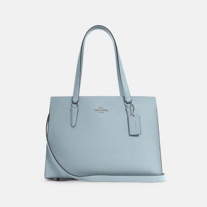 COAthtCH Classic handbags