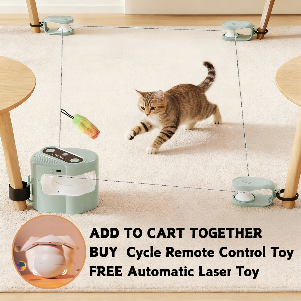 【Newly Upgraded】Cycle Remote Control Cat Toy