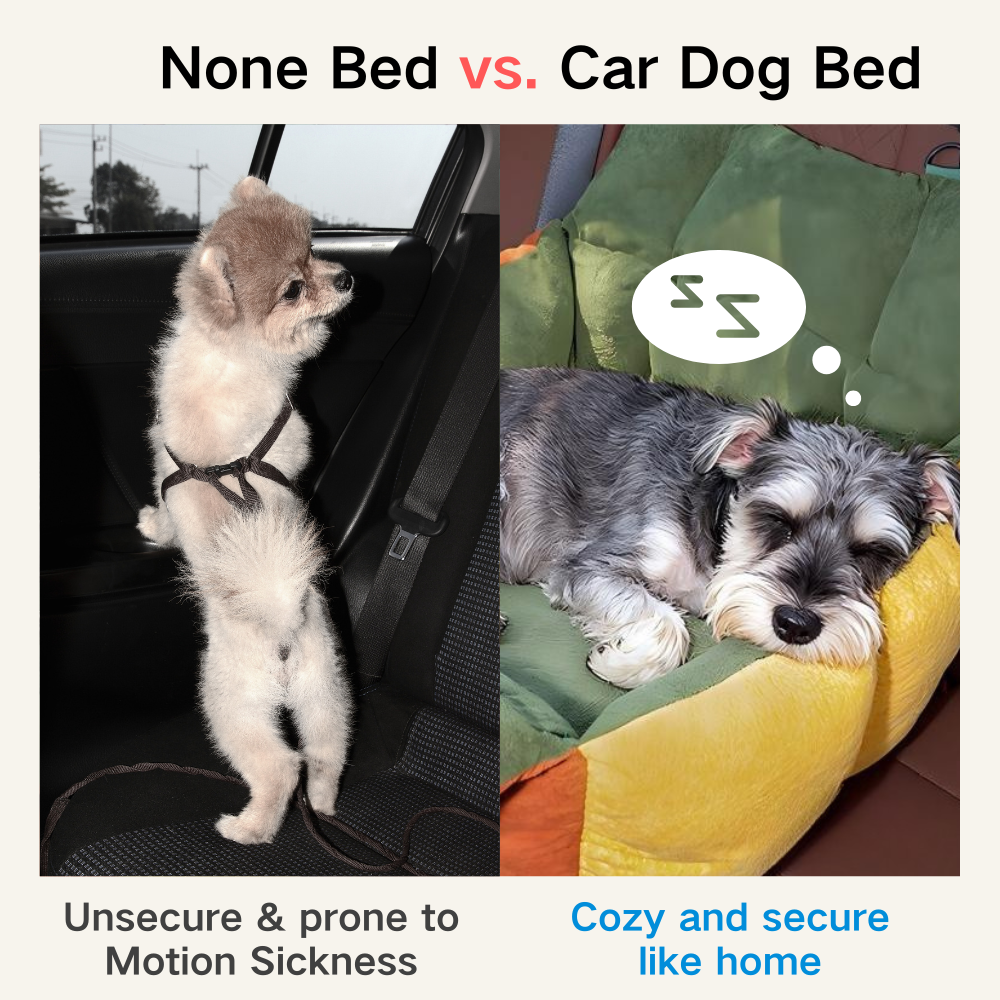 2-in-1 Carrier & Car Bed