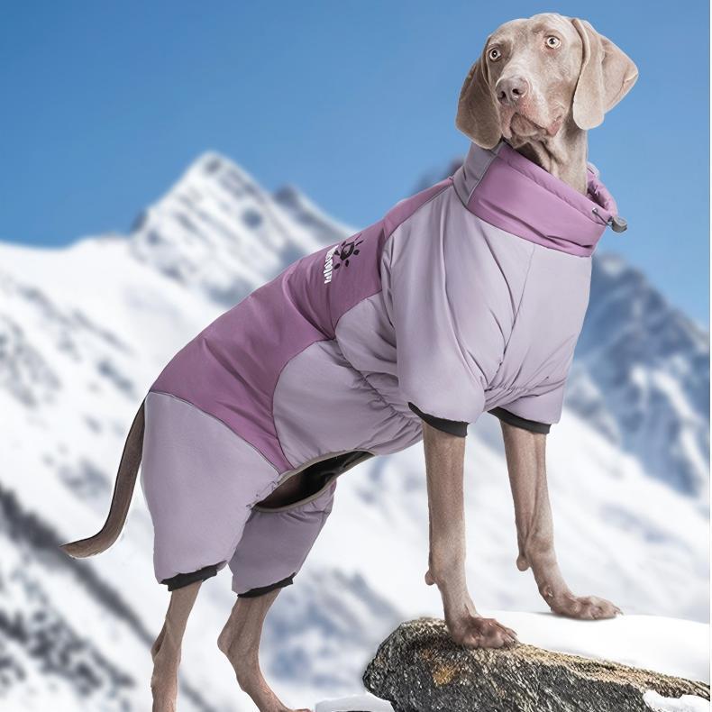 Four-Leg Outdoor Winter Coat