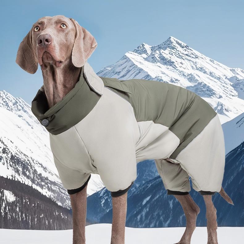 Four-Leg Outdoor Winter Coat