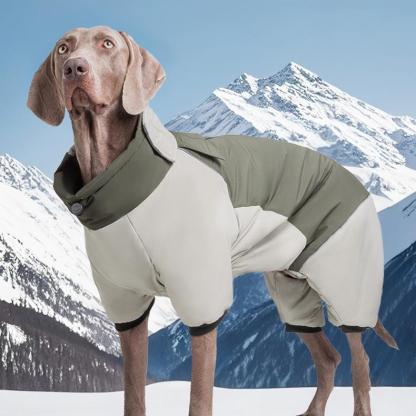 Four-Leg Outdoor Winter Coat