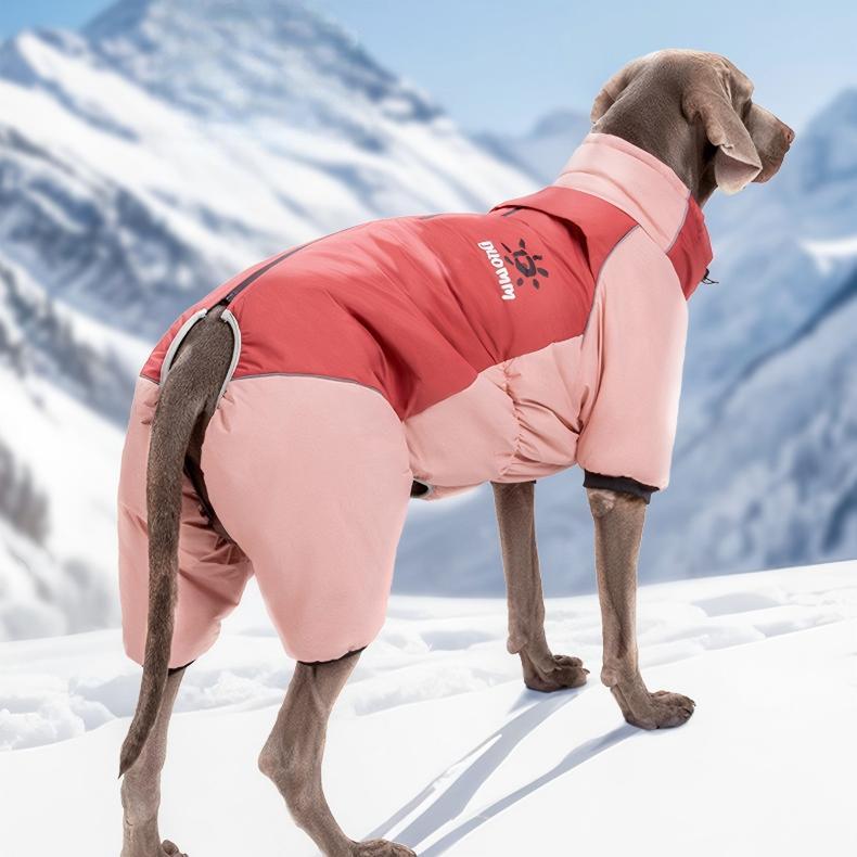 Four-Leg Outdoor Winter Coat