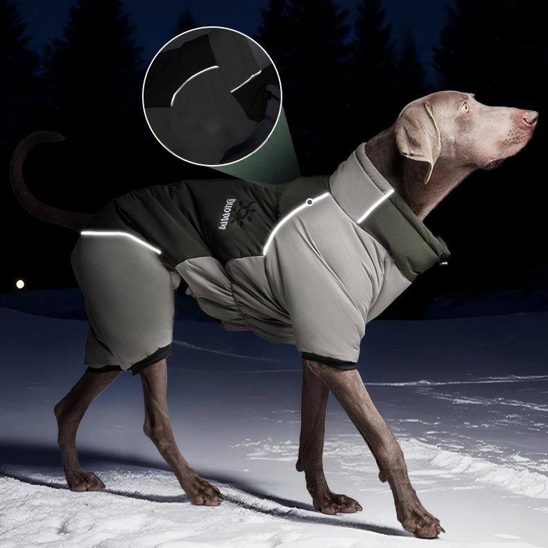 Four-Leg Outdoor Winter Coat