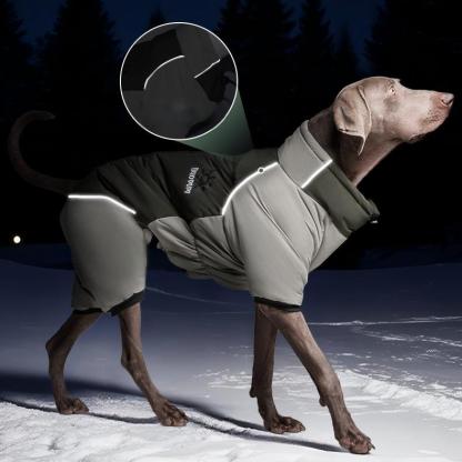 Four-Leg Outdoor Winter Coat