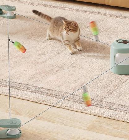 Smart Cycle Remote Control Cat Toy