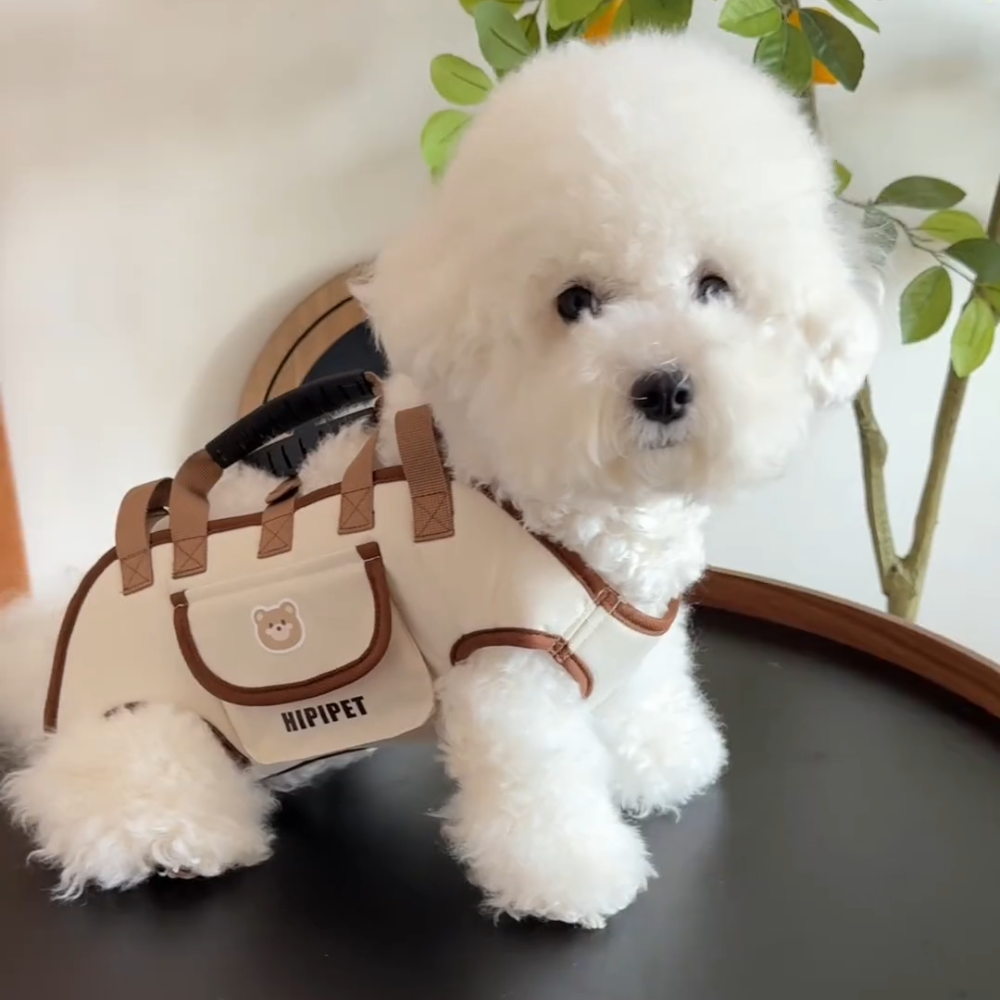 Multi-Way Pet Carrier