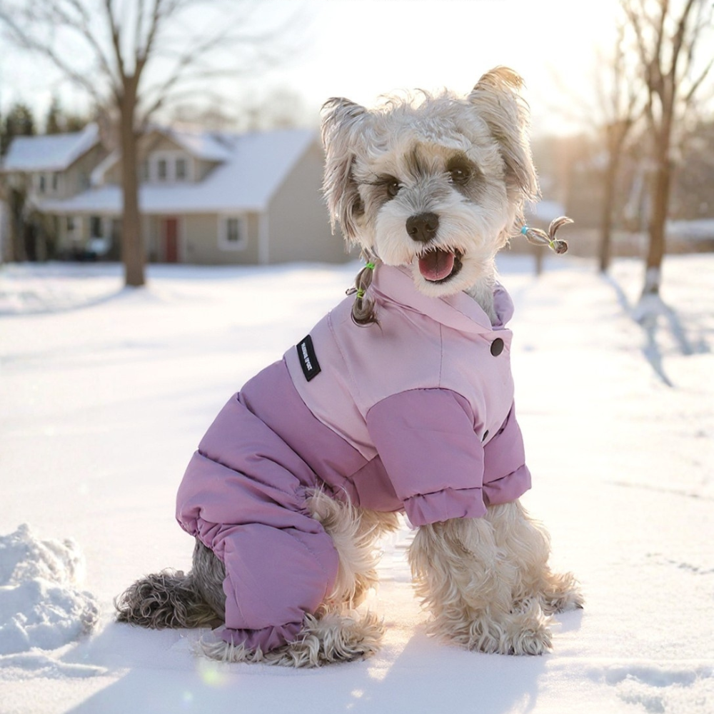 Graphene-Lined All-Weather 4-Legged Puffer Coat for Small Breeds