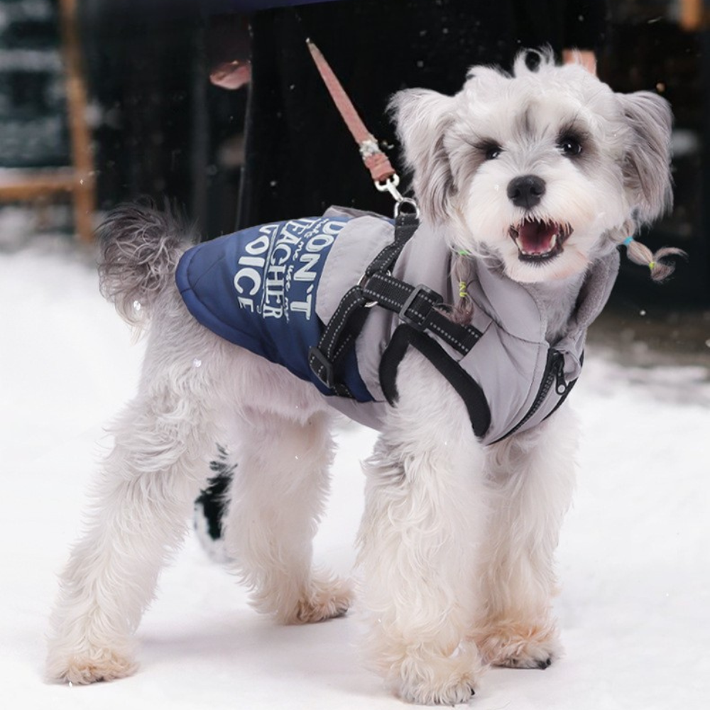 Nifty Paw Insulated Dog Vest & Harness