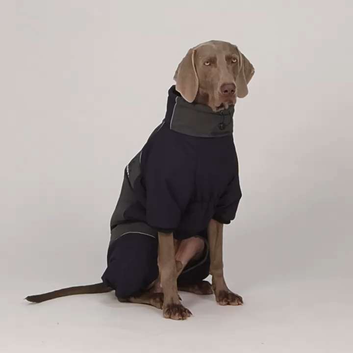 Four-Leg Outdoor Winter Coat