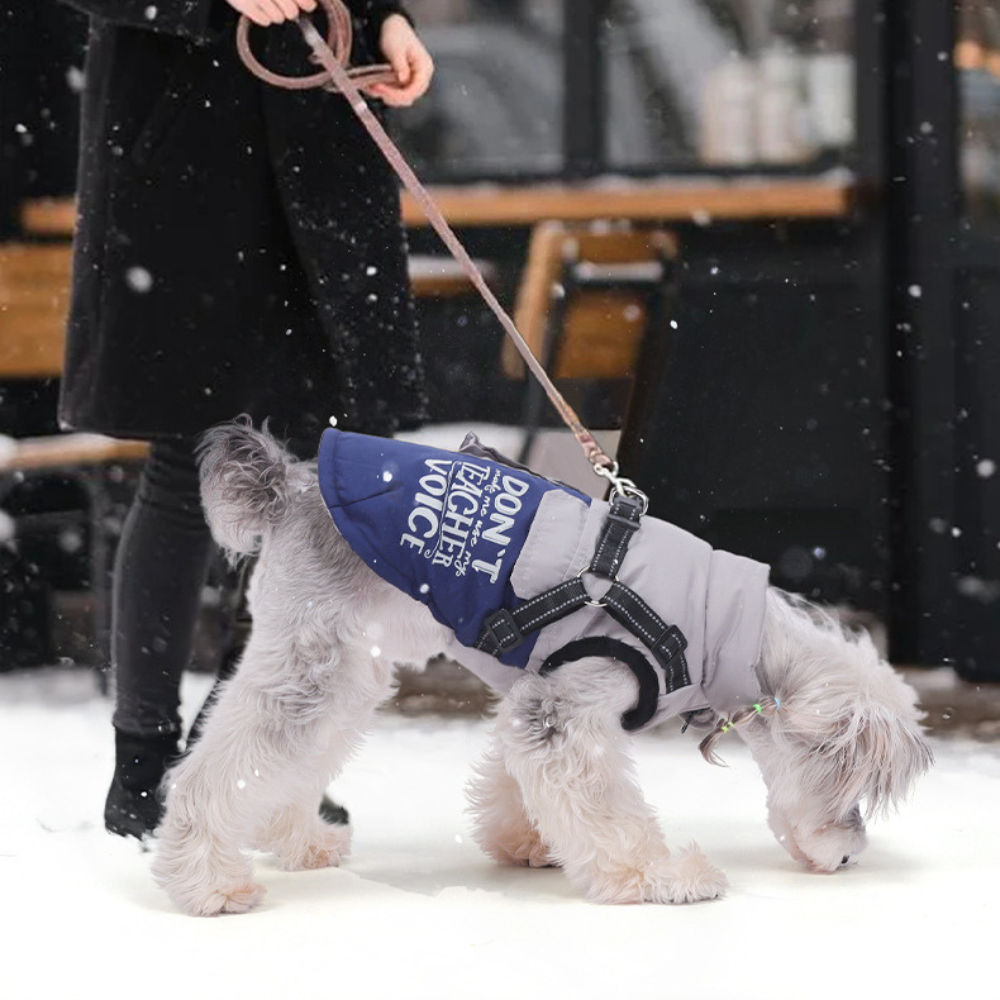 Nifty Paw Insulated Dog Vest & Harness