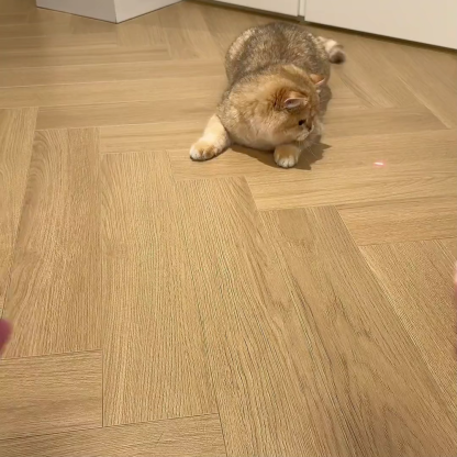 Hands-Free Self-Play Cat Toy: The Non-Stop Tumbler