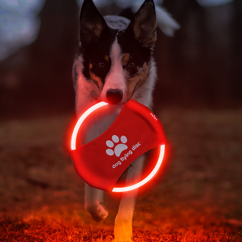 NiftyPaw LED Glow Frisbee