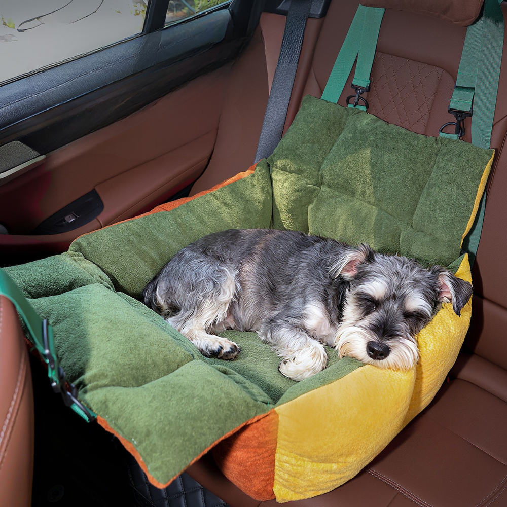 Pet Car Safety