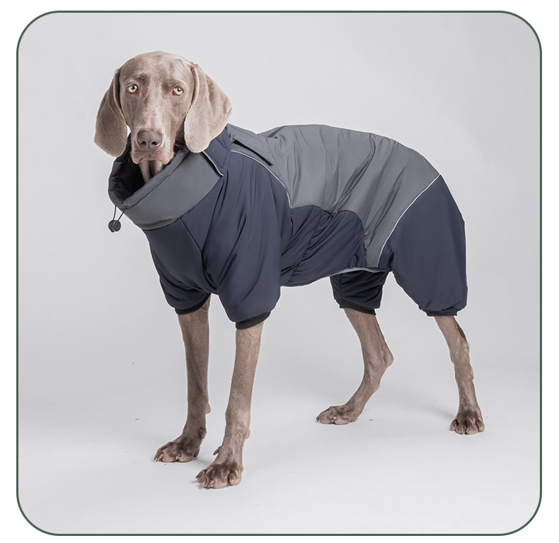 Four-Leg Outdoor Winter Coat