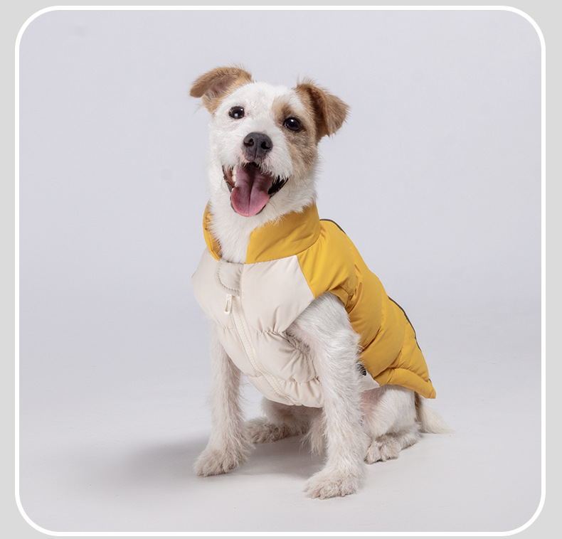 NP2 All-Weather Color-Block Puffer Vest