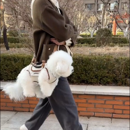 Multi-Way Pet Carrier