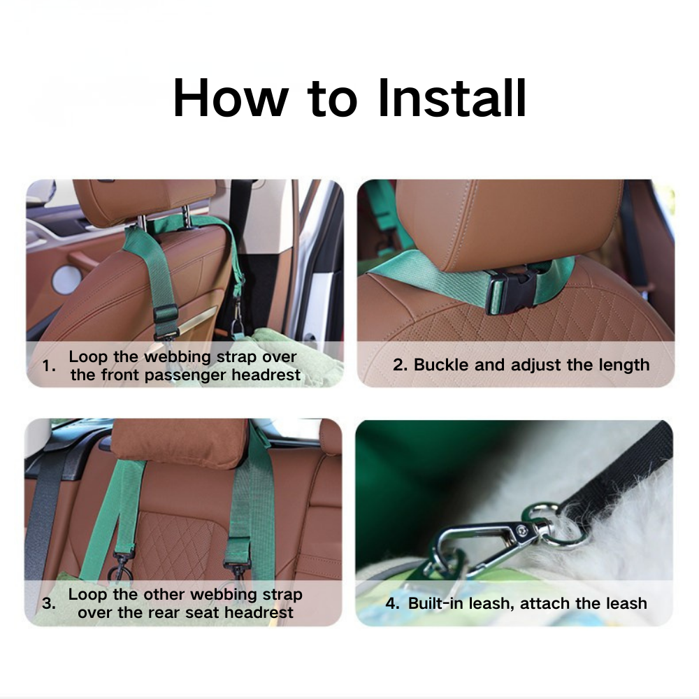 2-in-1 Carrier & Car Bed