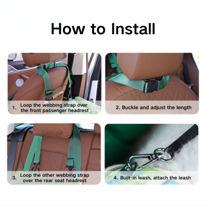 2-in-1 Carrier & Car Bed