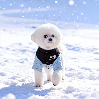 The North Face-Inspired Puppy Winter Coat