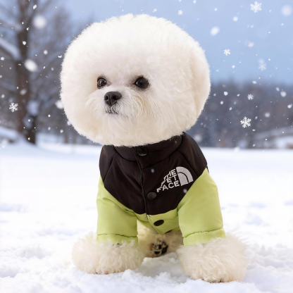The North Face-Inspired Puppy Winter Coat