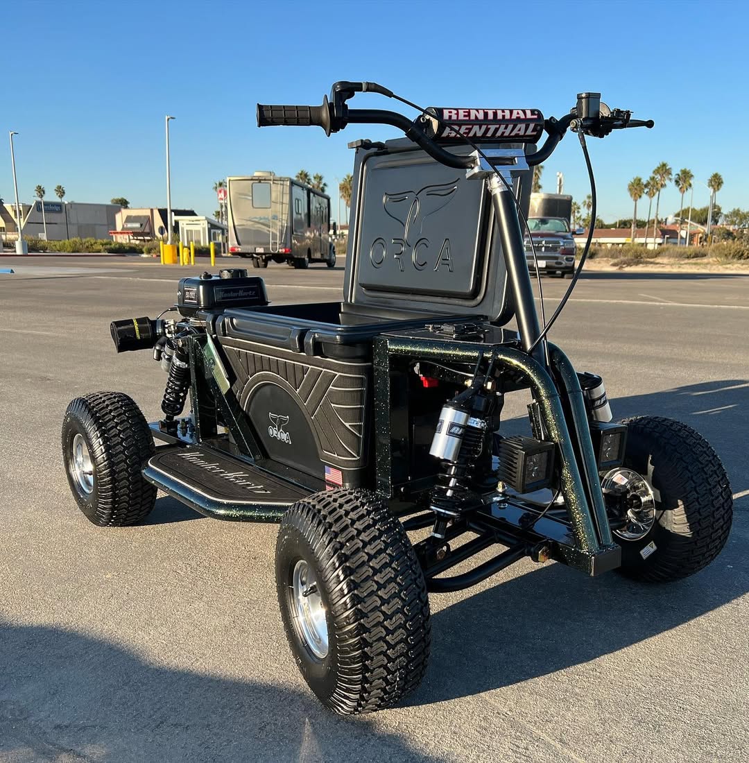 Multifunctional kathtrt