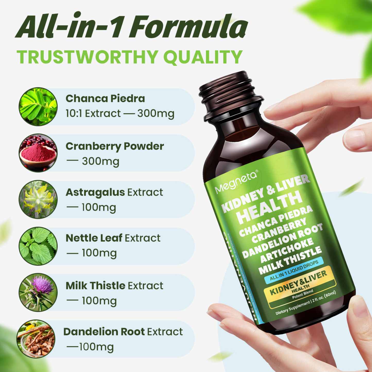 Herbal Kidney & Liver Support Drops – Milk Thistle, Cranberry, Dandelion & Artichoke – Liquid Detox Supplement