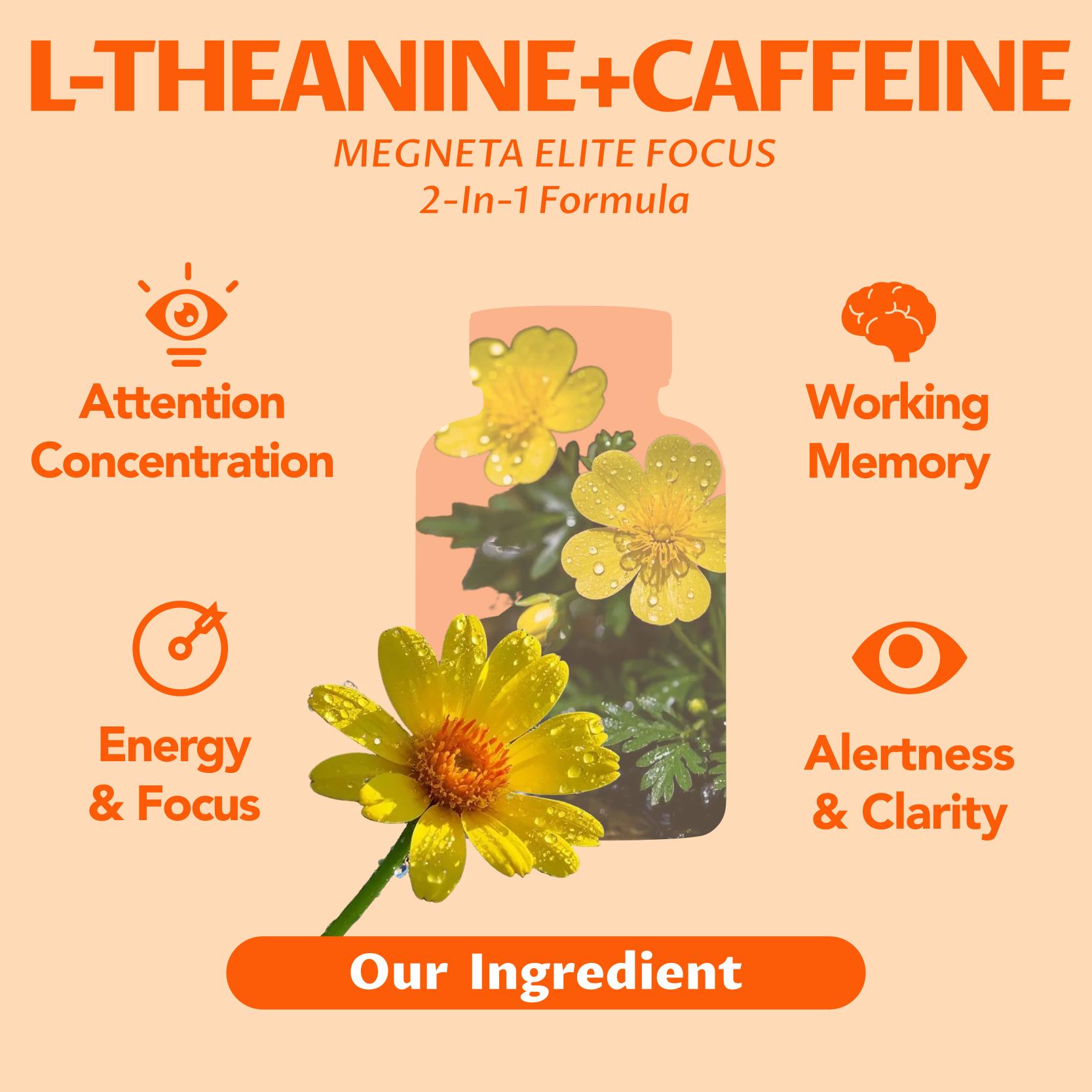 Elite Focus – Premium Nootropic Supplement with Multi-Vitamin & L-Theanine for Cognitive Support, 60 Capsules