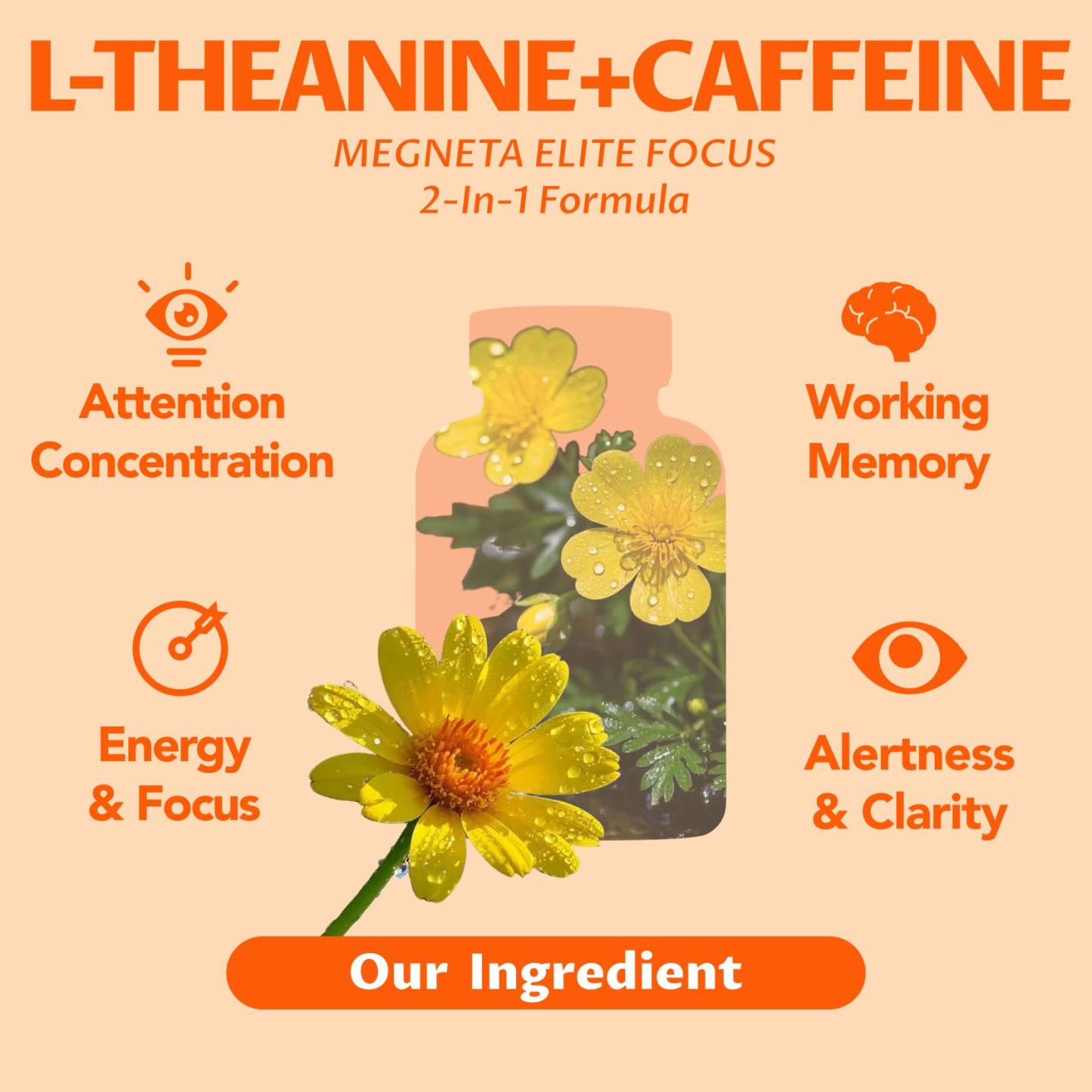 Elite Focus – Premium Nootropic Supplement with Multi-Vitamin & L-Theanine for Cognitive Support, 60 Capsules