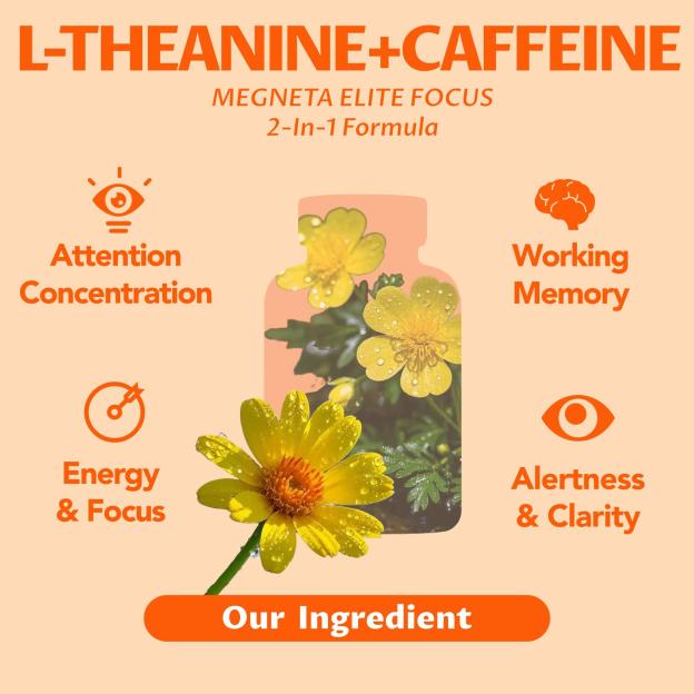 Elite Focus – Premium Nootropic Supplement with Multi-Vitamin & L-Theanine for Cognitive Support, 60 Capsules