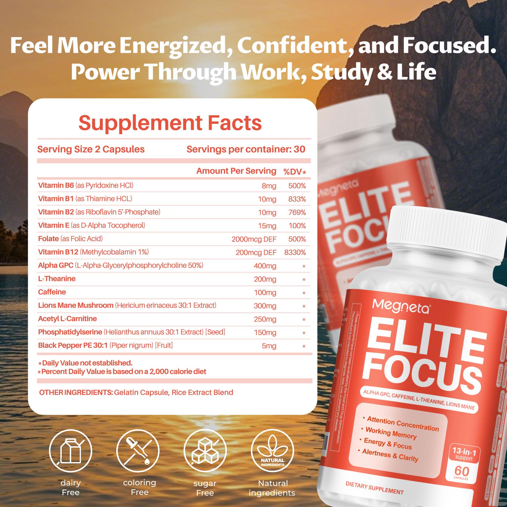 Elite Focus – Premium Nootropic Supplement with Multi-Vitamin & L-Theanine for Cognitive Support, 60 Capsules
