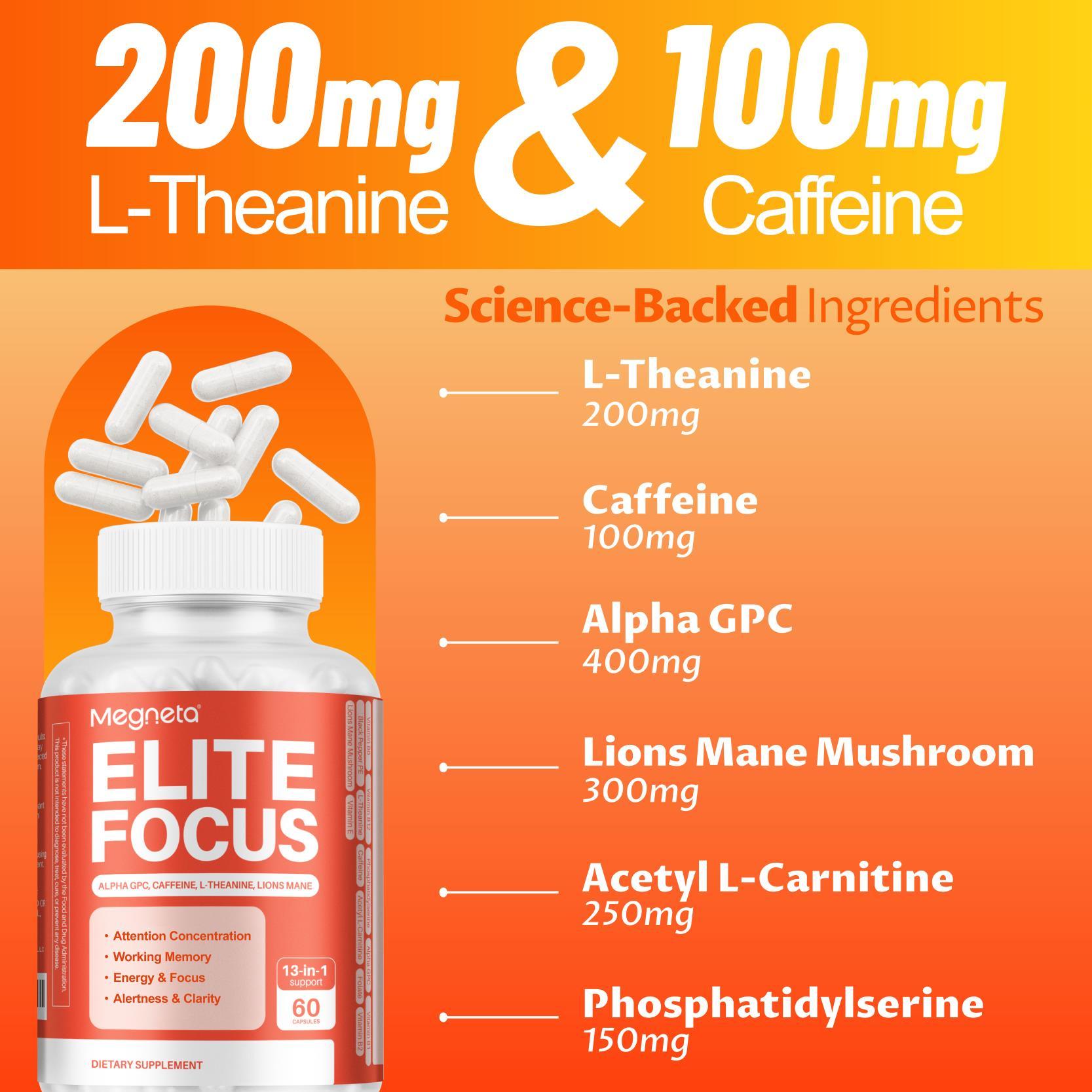 Elite Focus – Premium Nootropic Supplement with Multi-Vitamin & L-Theanine for Cognitive Support, 60 Capsules
