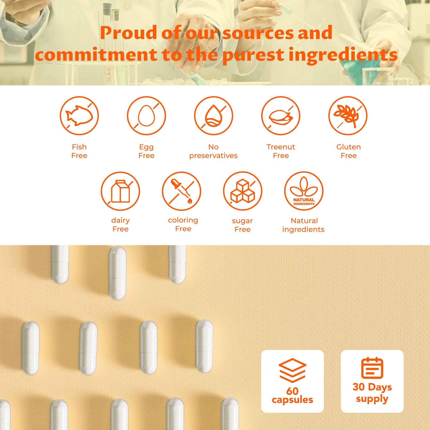 Elite Focus – Premium Nootropic Supplement with Multi-Vitamin & L-Theanine for Cognitive Support, 60 Capsules