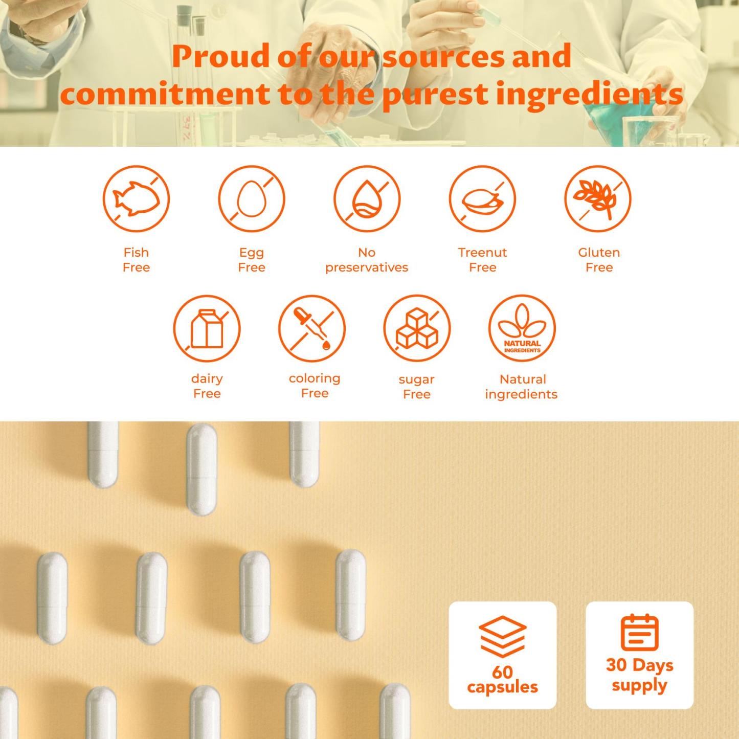 Elite Focus – Premium Nootropic Supplement with Multi-Vitamin & L-Theanine for Cognitive Support, 60 Capsules