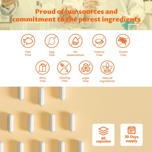 Elite Focus – Premium Nootropic Supplement with Multi-Vitamin & L-Theanine for Cognitive Support, 60 Capsules