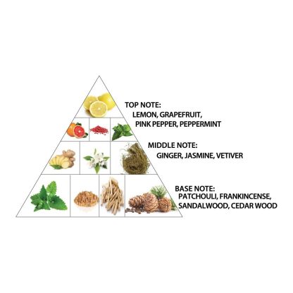 Al Haramain Amber Oud Blue Edition Eau De Parfum Spray 100ml (3.4 oz) - Unisex Arabian Perfume for Women & Men, Long-Lasting Arabic Fragrance, Premium EDP Cologne Spray