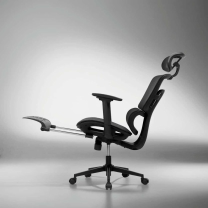 S2 Elite Ergonomic Chair