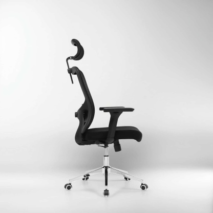 RIEIOR Flex S1 Office Desk Chair 