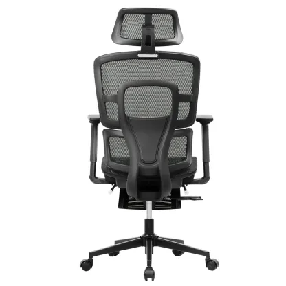 Ergonomic Mesh Office Chair With Footrest S2 Elite
