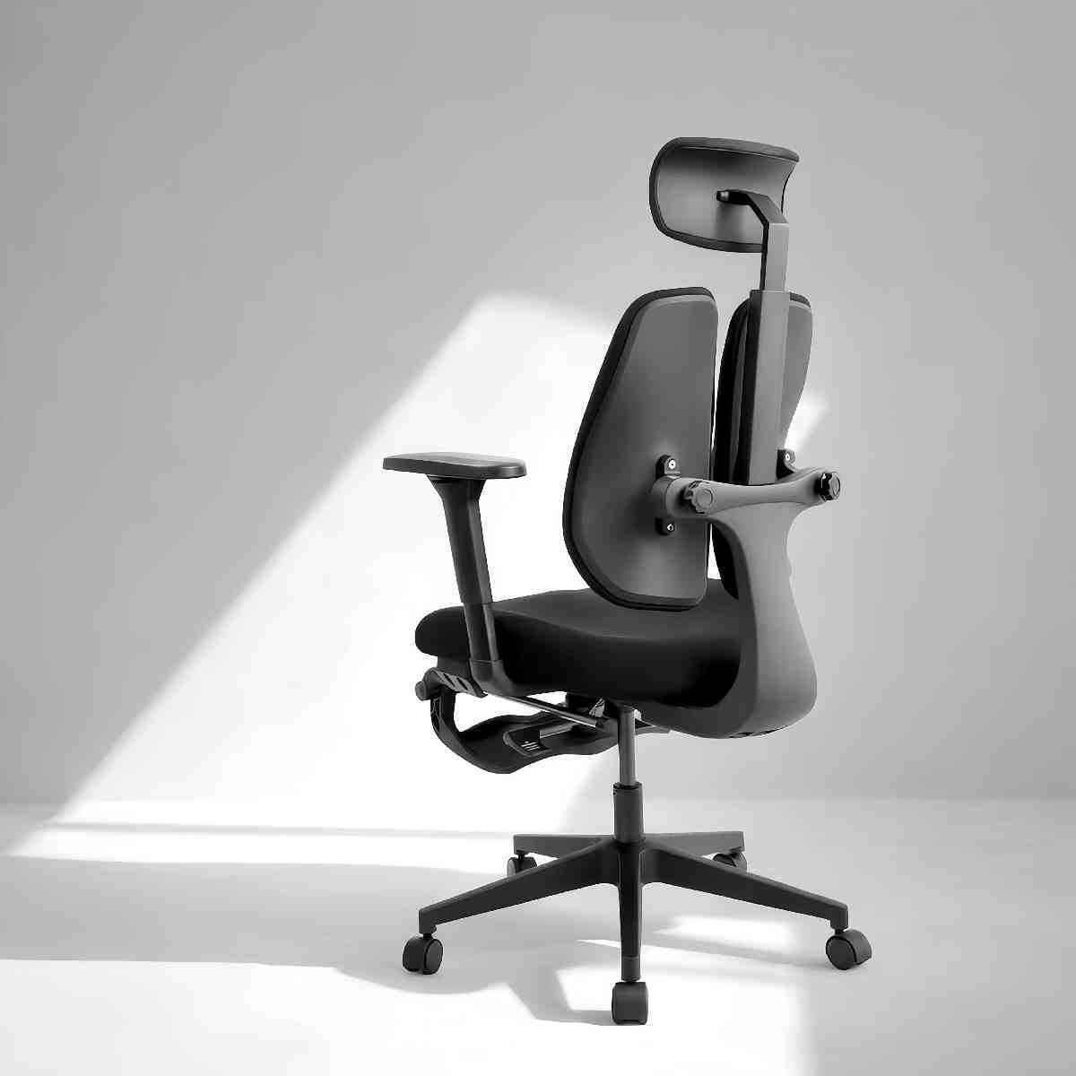 Pre-order | S3 Flex Dual Backrest Office Chair