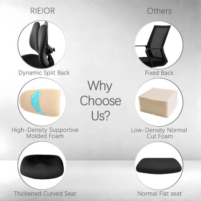 S3 Flex Dual Backrest Ergonomic Chair