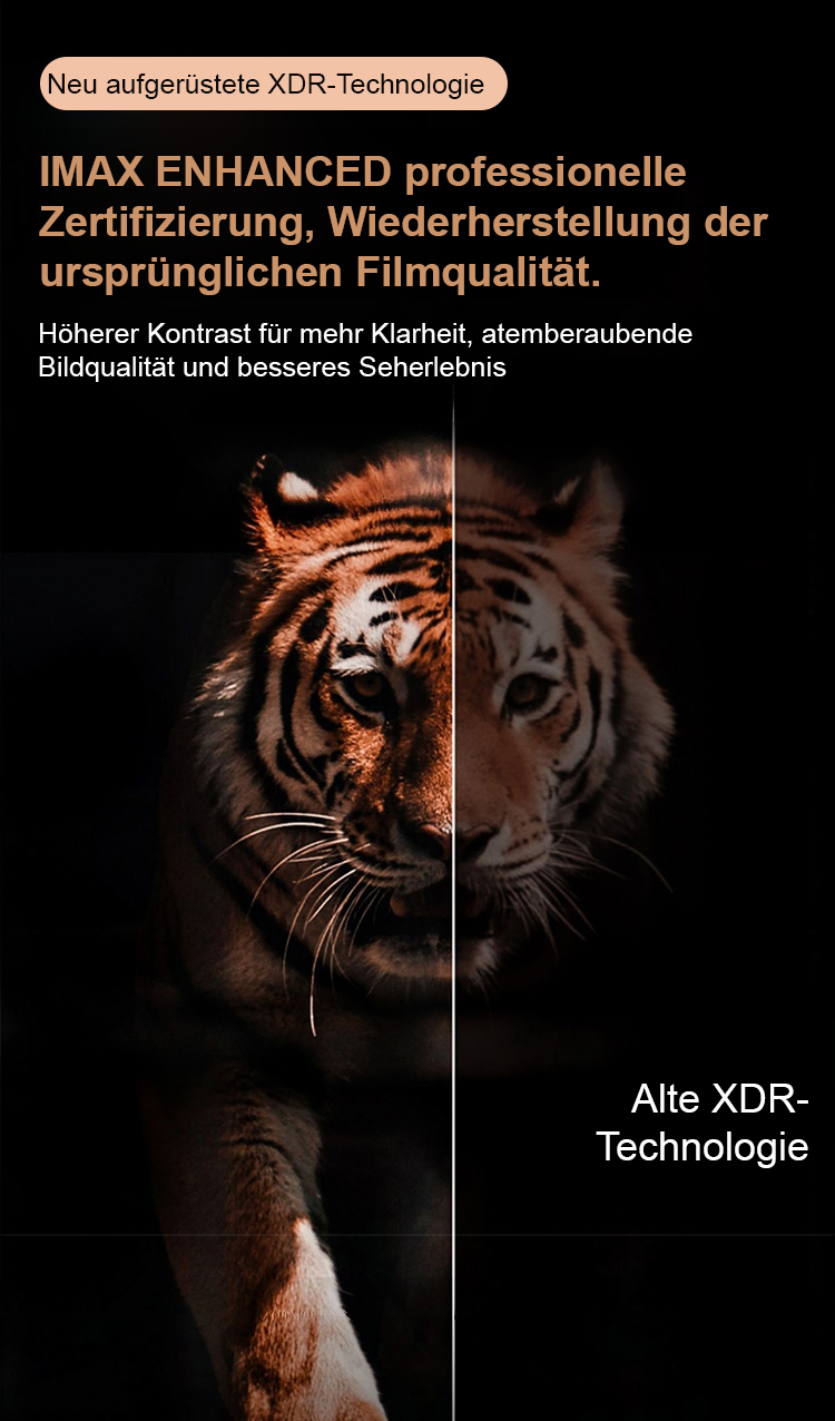 Tragbarer Projektor projiziert Bild an die Wand