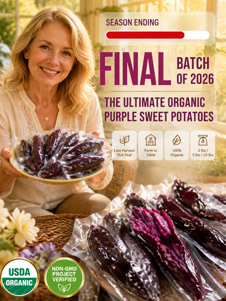 ✨ [Available Only 30 Days/Year] ✨ Premium Central Valley Organic Purple Yam Strips triple-steamed for the ultimate soft and chewy texture 🍠